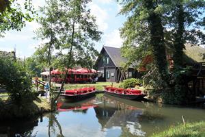 Für Familien mit kleinen Kindern die ideale Rundfahrt mit dem Spreewaldkahn. vorbei an Biberfamilien, schnatternden Enten und glücklichen Kühen auf grünen Wiesen