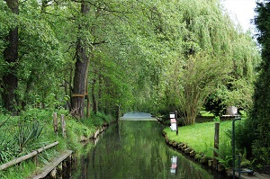 individuelles und ungestörtes Kennenlernen des Spreewalds verbunden mit anregenden Informationen der Kahnfärfrau langsames, lautloses Dahingleiten des Kahns ermöglicht die Besinnung der Gedanken für die Schönheiten der Natur